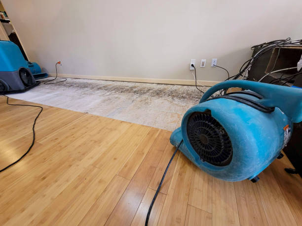 Professional Structural Drying technician working in Alhambra, CA